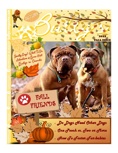 Bully’s - The Bulldog Magazine issue 