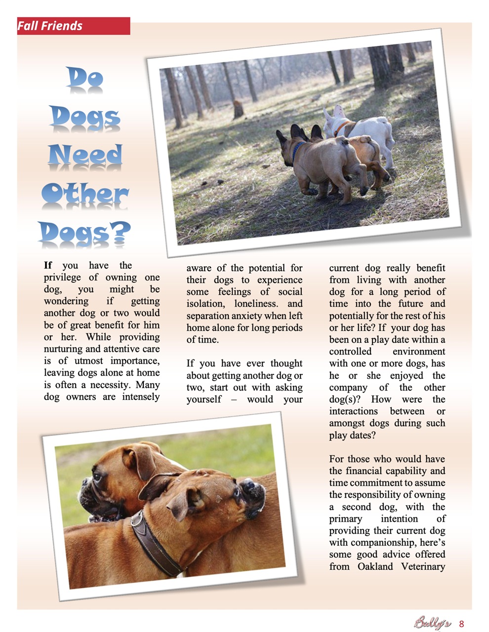 Bully’s - The Bulldog Magazine Preview Pages