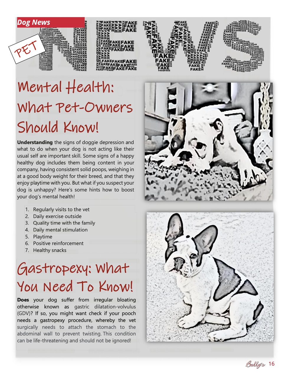 Bully’s - The Bulldog Magazine Preview Pages