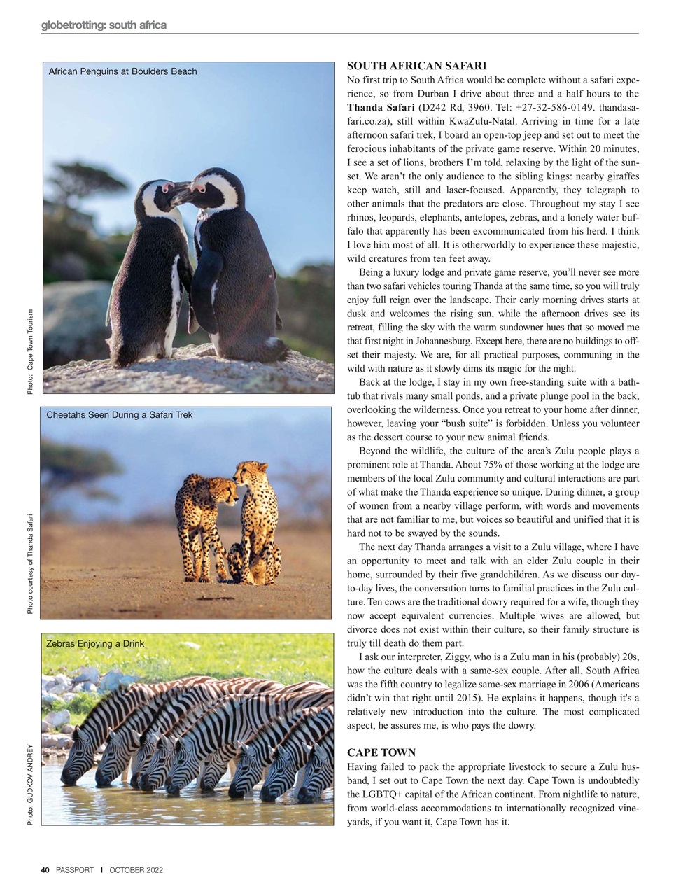 Passport Preview Pages