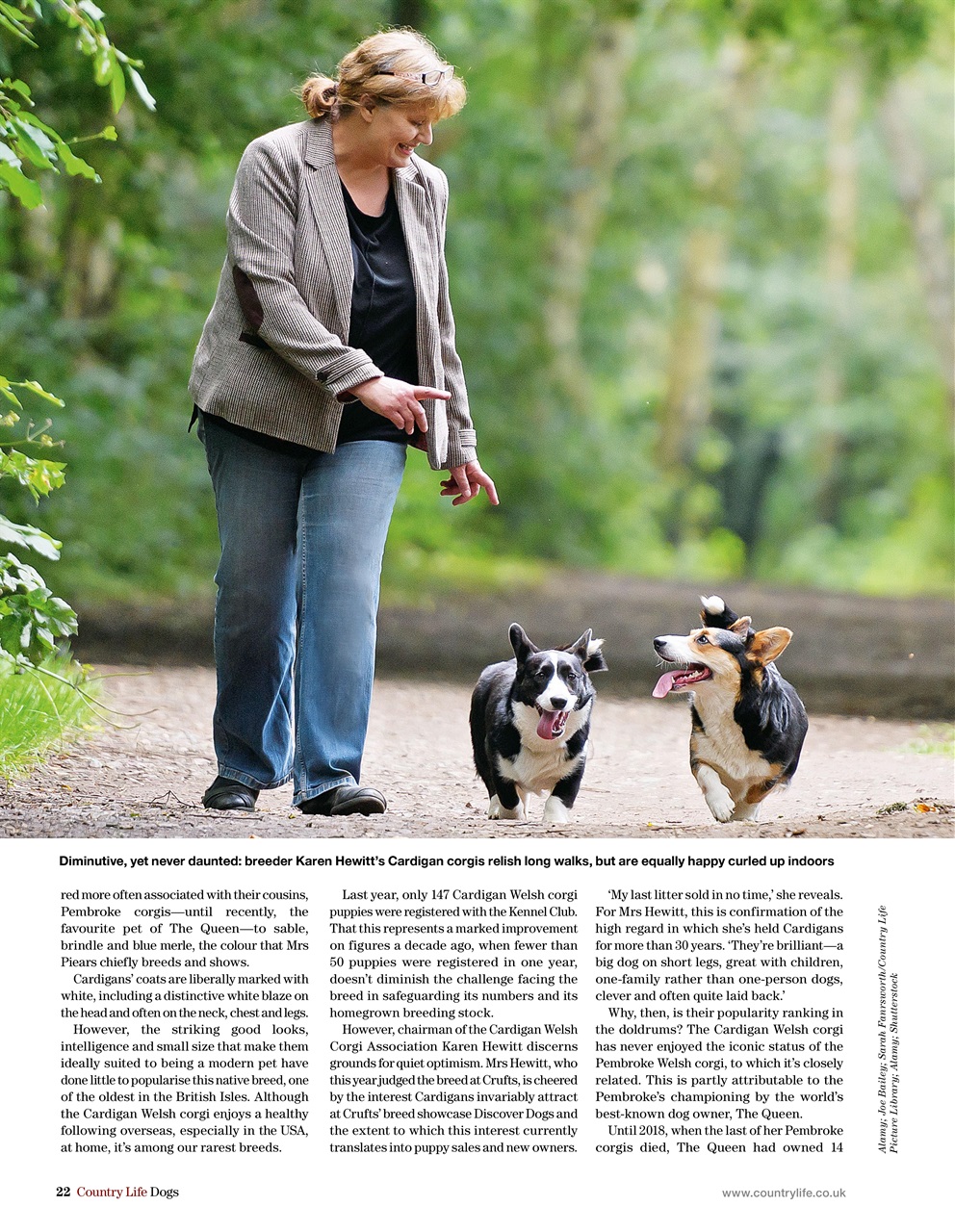 Field Sports Bookazine Preview Pages