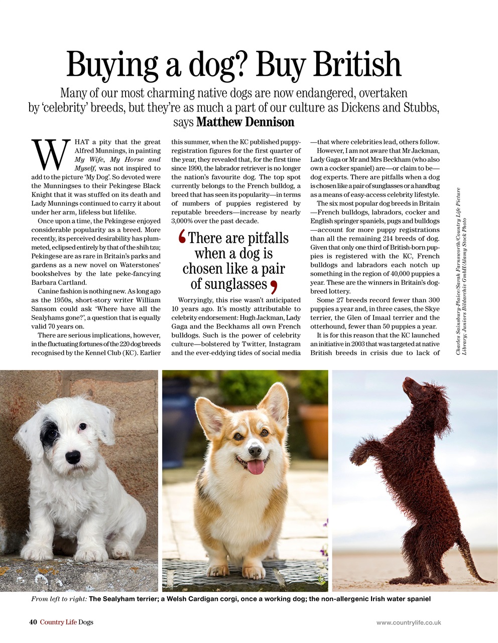 Field Sports Bookazine Preview Pages