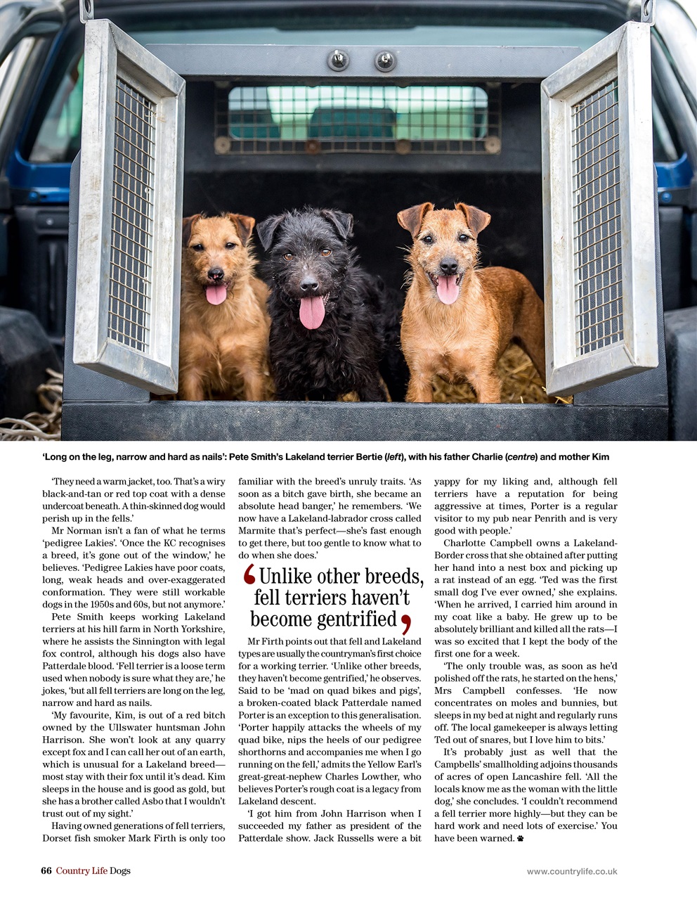 Field Sports Bookazine Preview Pages