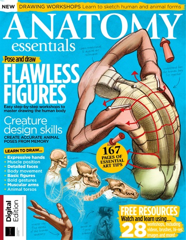 Creative Bookazine issue Anatomy Essentials Thirteenth Edition