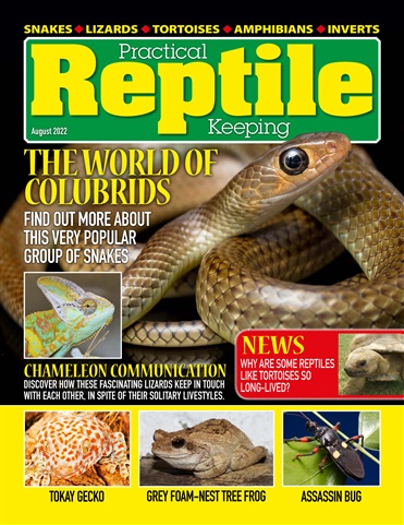 Practical Reptile Keeping issue August 2022