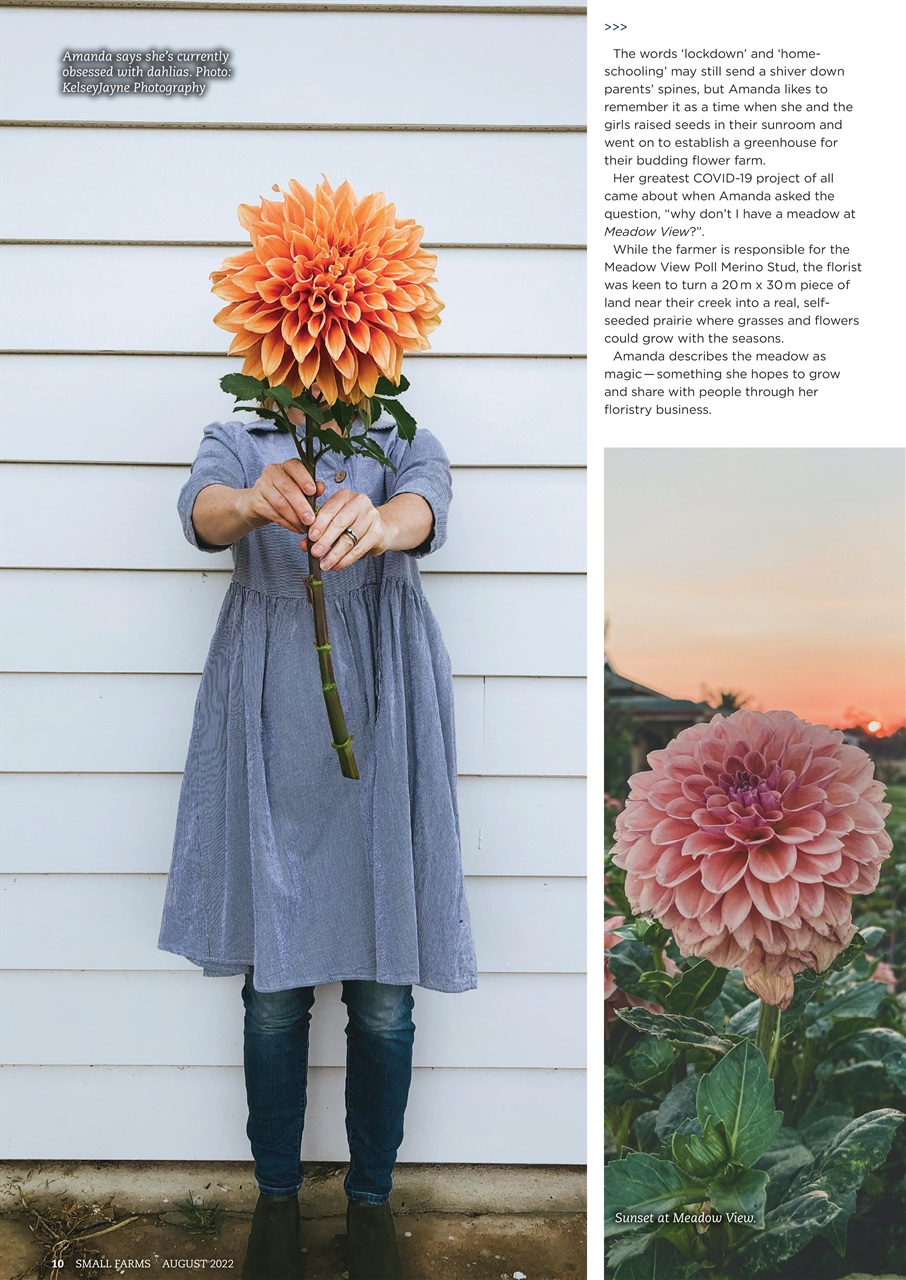 Small Farms Preview Pages