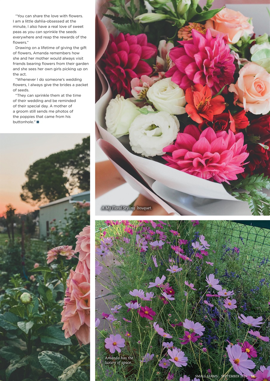 Small Farms Preview Pages