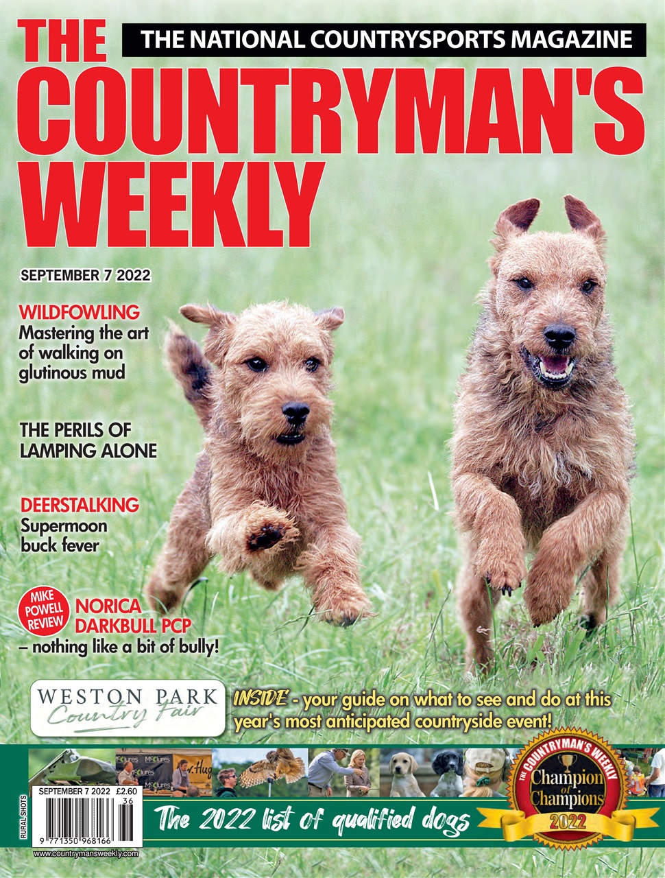 Countryman's Weekly Preview Pages