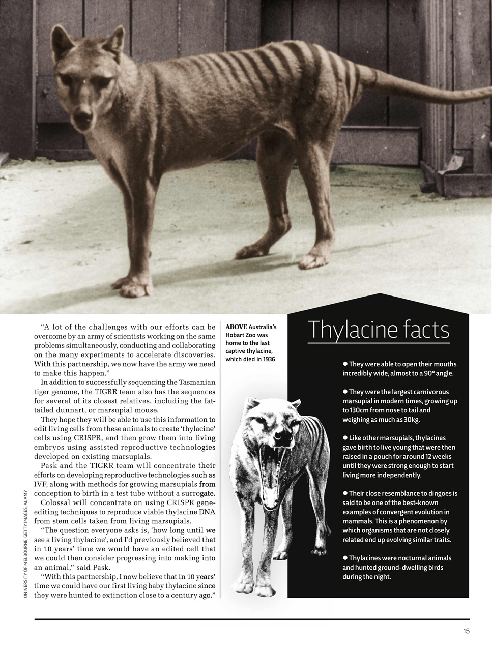 BBC Science Focus Magazine Preview Pages