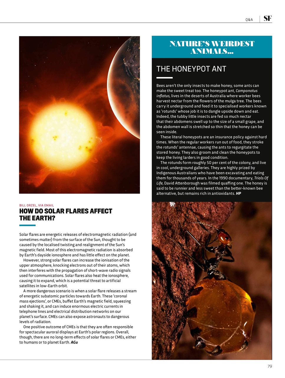 BBC Science Focus Magazine Preview Pages
