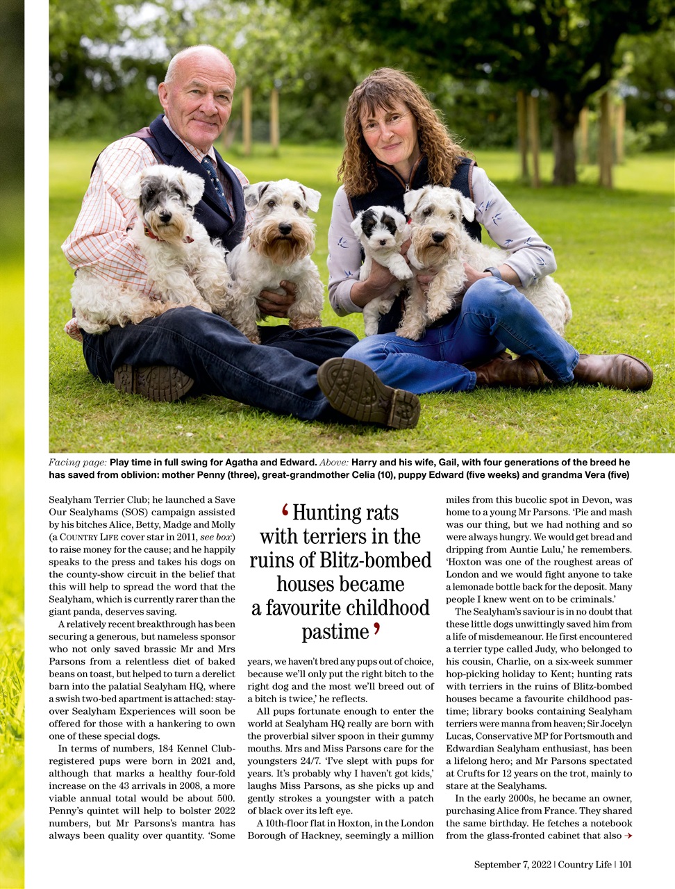Country Life Preview Pages