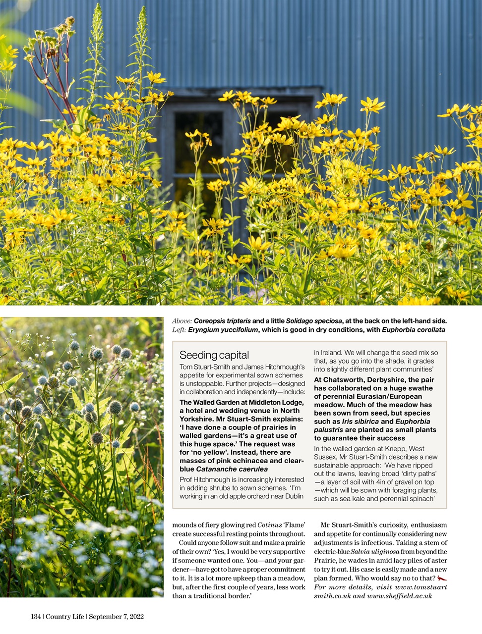 Country Life Preview Pages