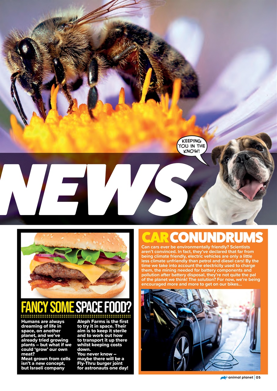 Animal Planet Kids Preview Pages