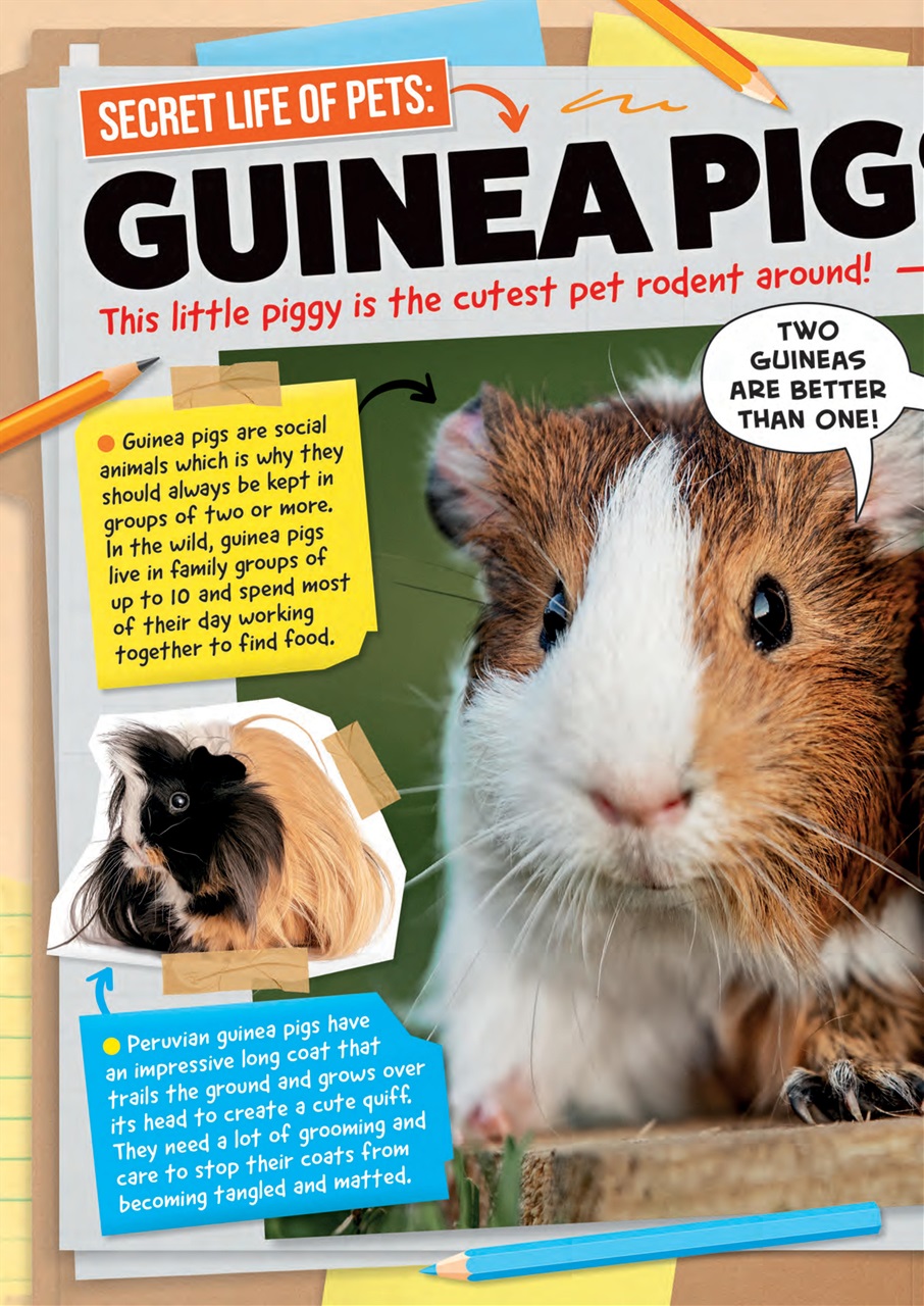 Animal Planet Kids Preview Pages