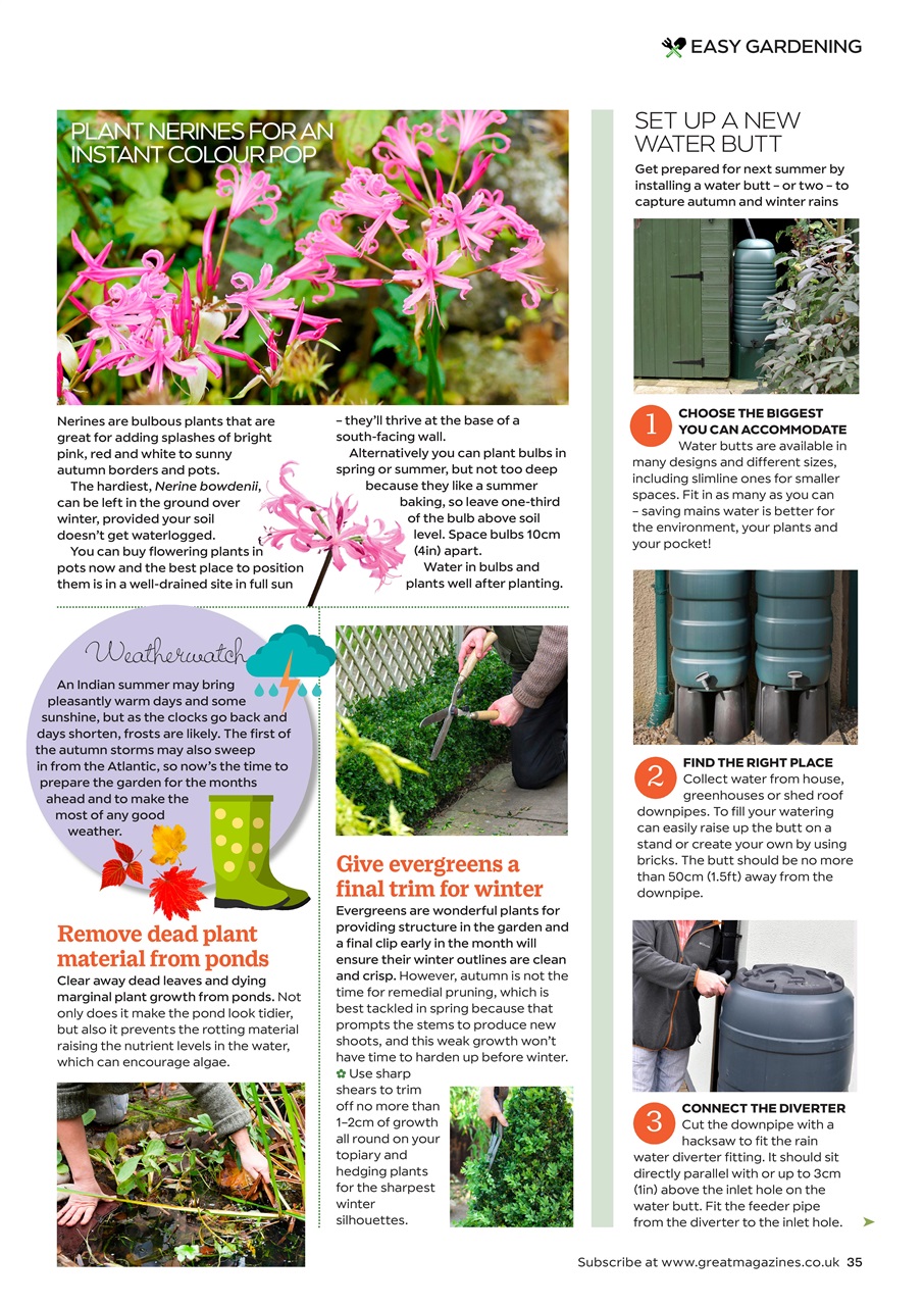 Garden Answers Preview Pages