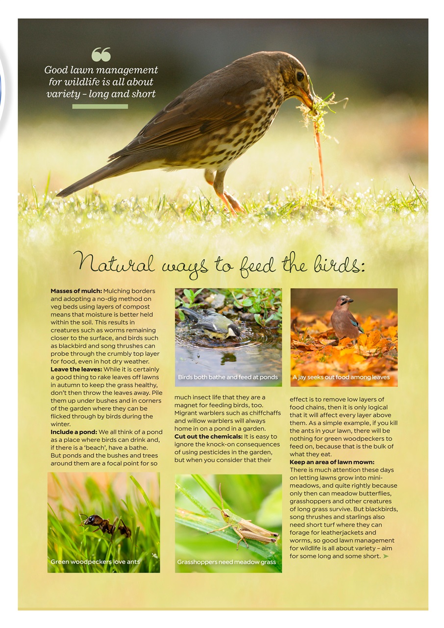 Garden Answers Preview Pages