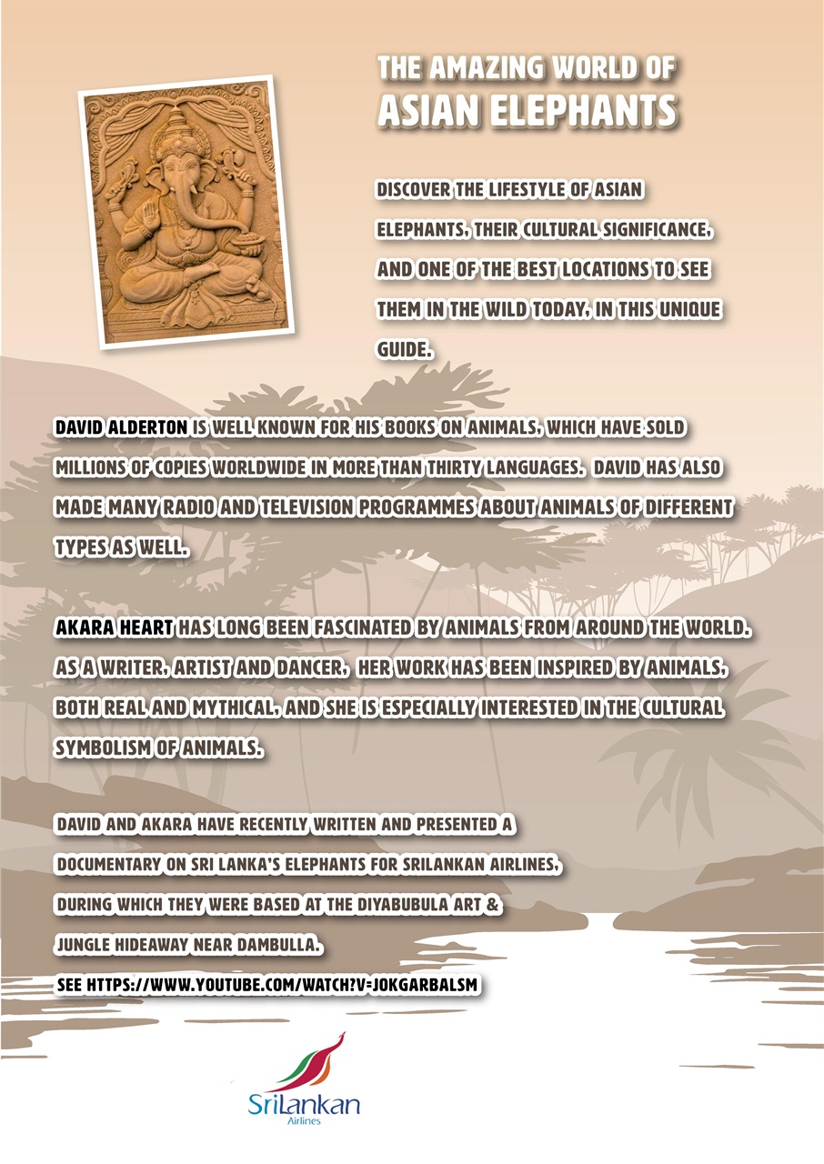 Practical Reptile Keeping Preview Pages