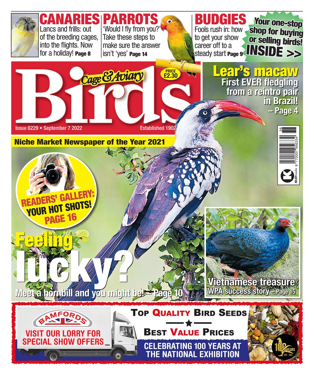Cage & Aviary Birds Preview Pages