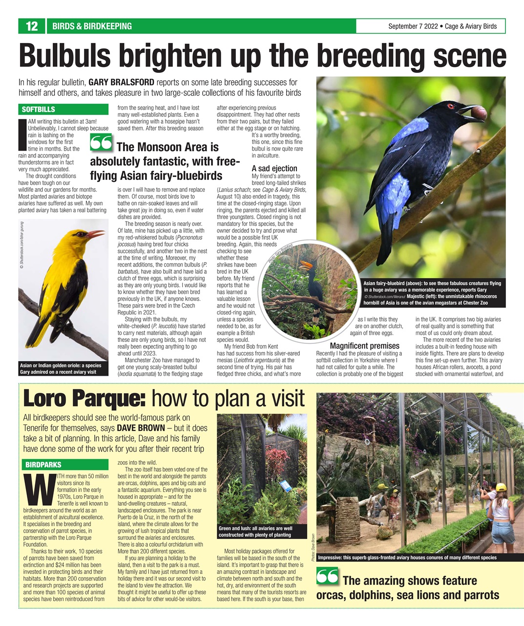 Cage & Aviary Birds Preview Pages