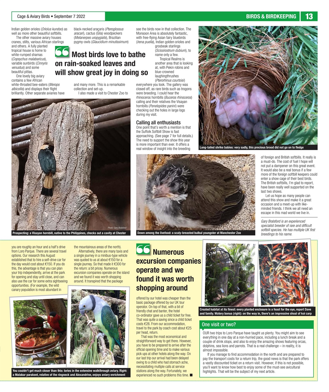 Cage & Aviary Birds Preview Pages