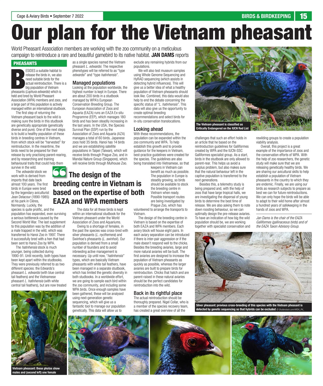 Cage & Aviary Birds Preview Pages