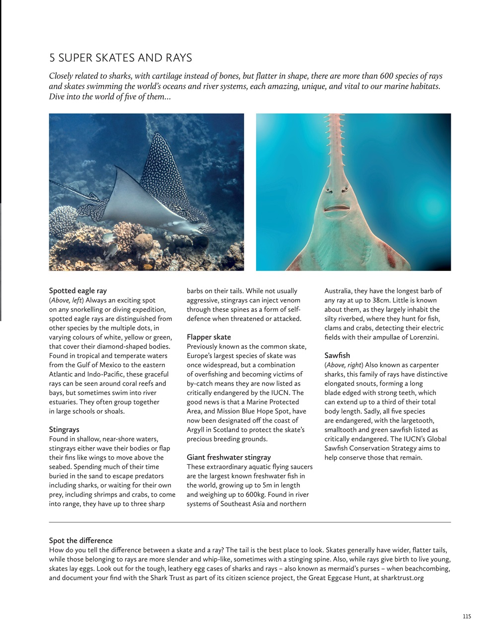 Breathe Preview Pages