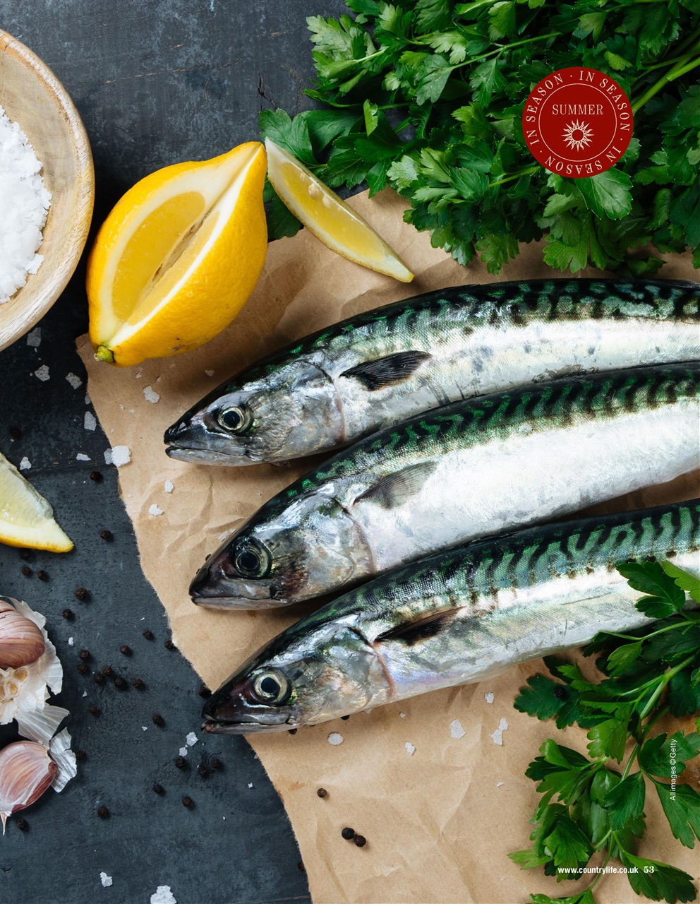 Country Life Bookazine Preview Pages