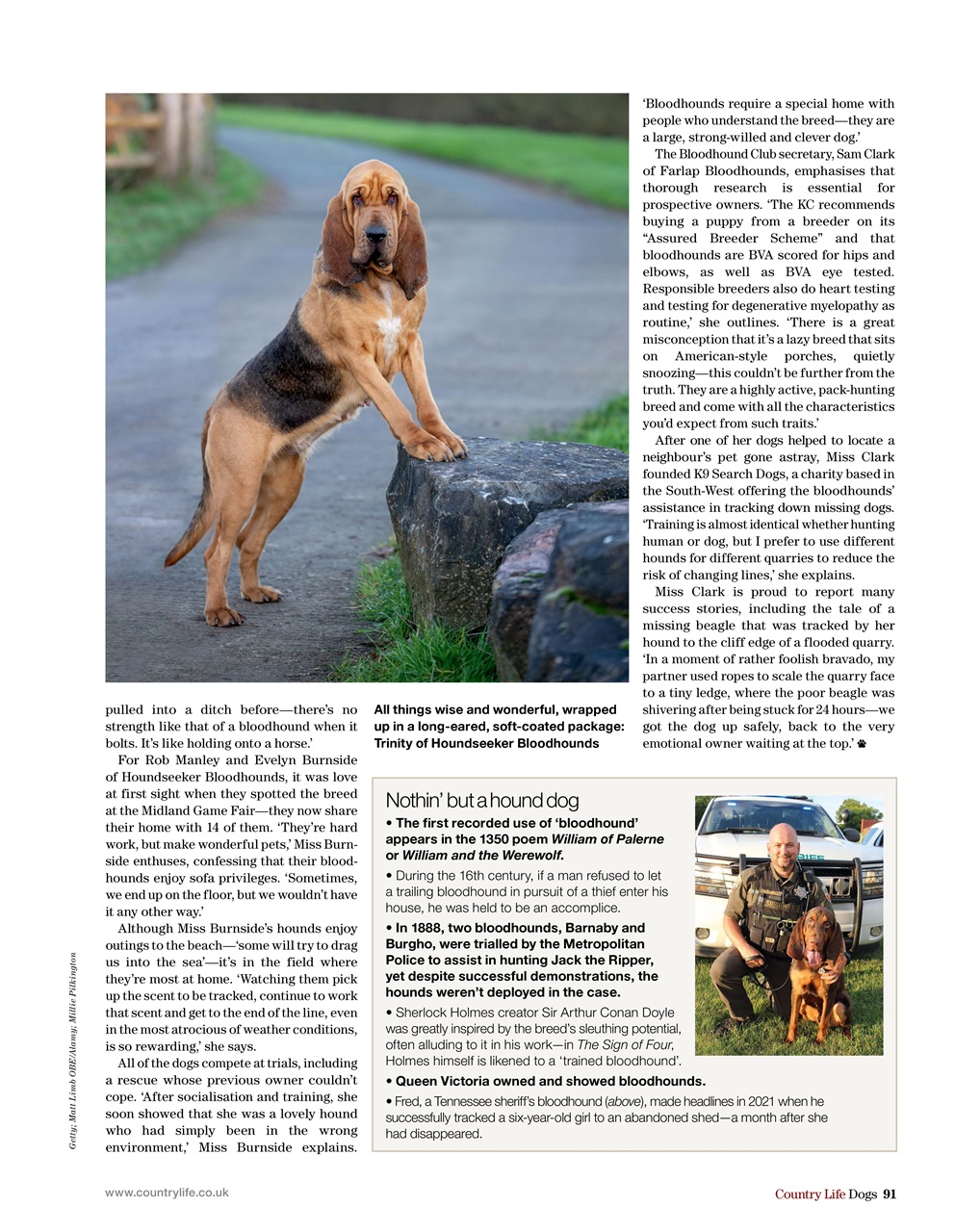 Country Life Bookazine Preview Pages
