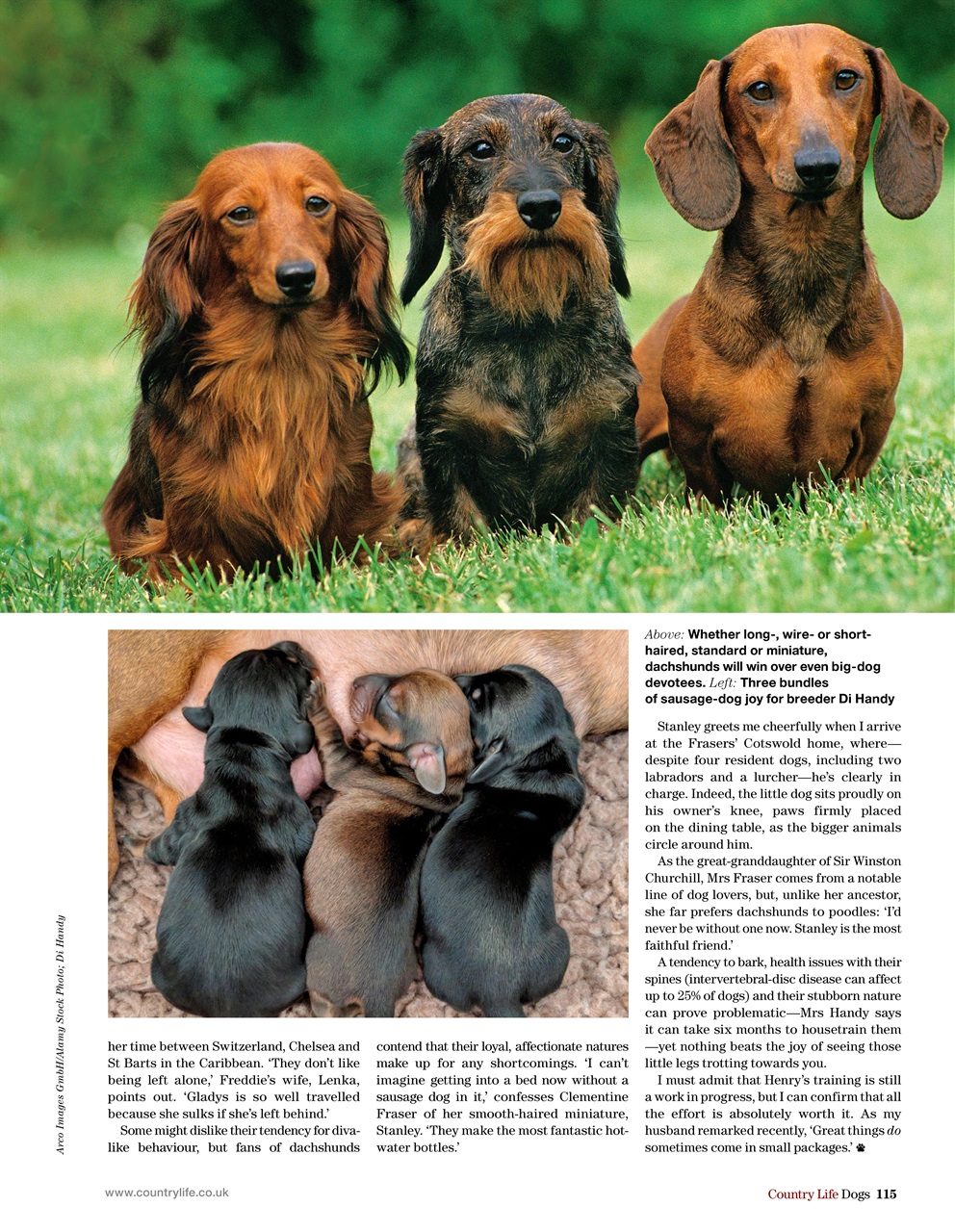 Country Life Bookazine Preview Pages