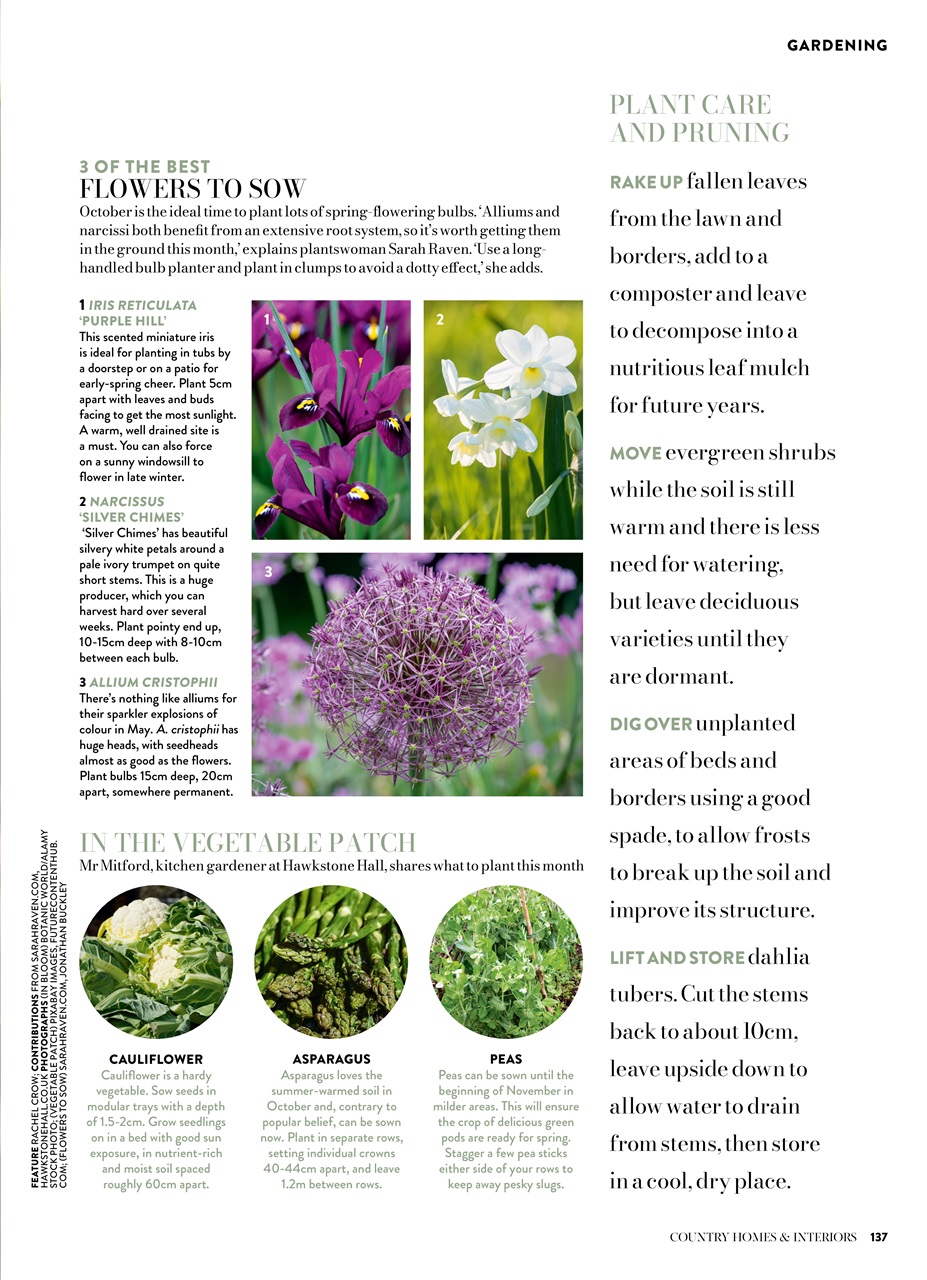 Country Homes & Interiors Preview Pages