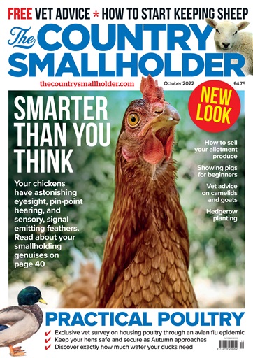 The Country Smallholder issue 