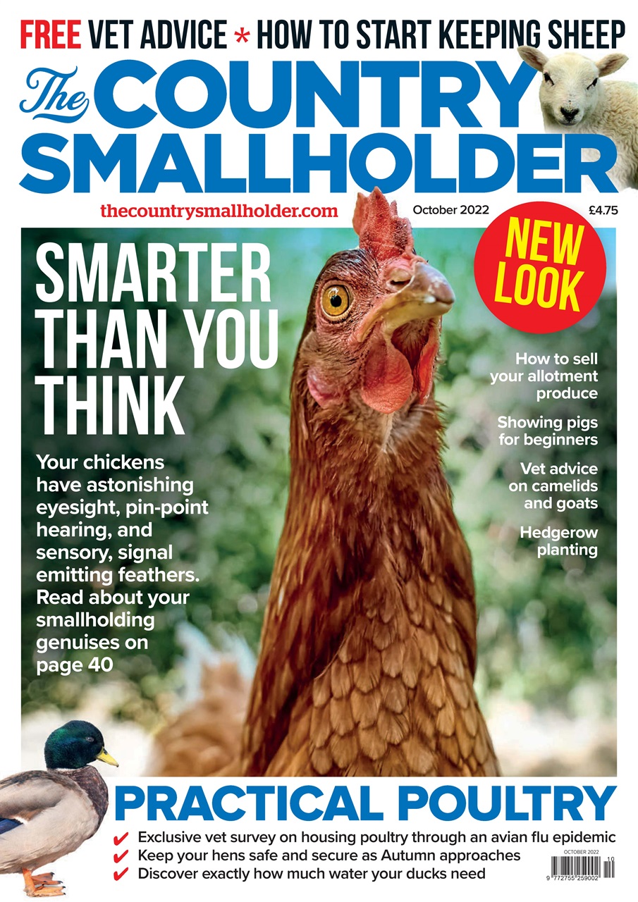 The Country Smallholder Preview Pages