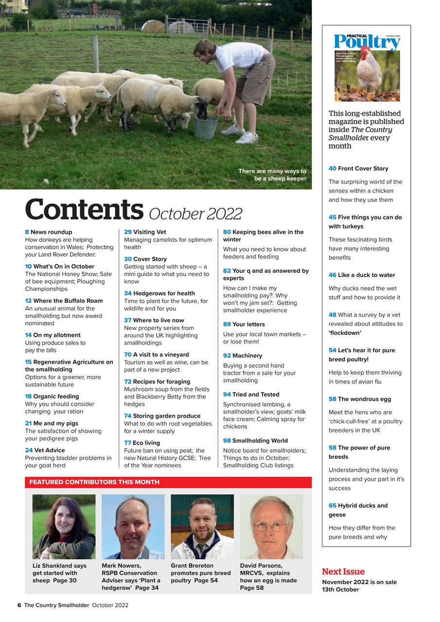 The Country Smallholder Preview Pages