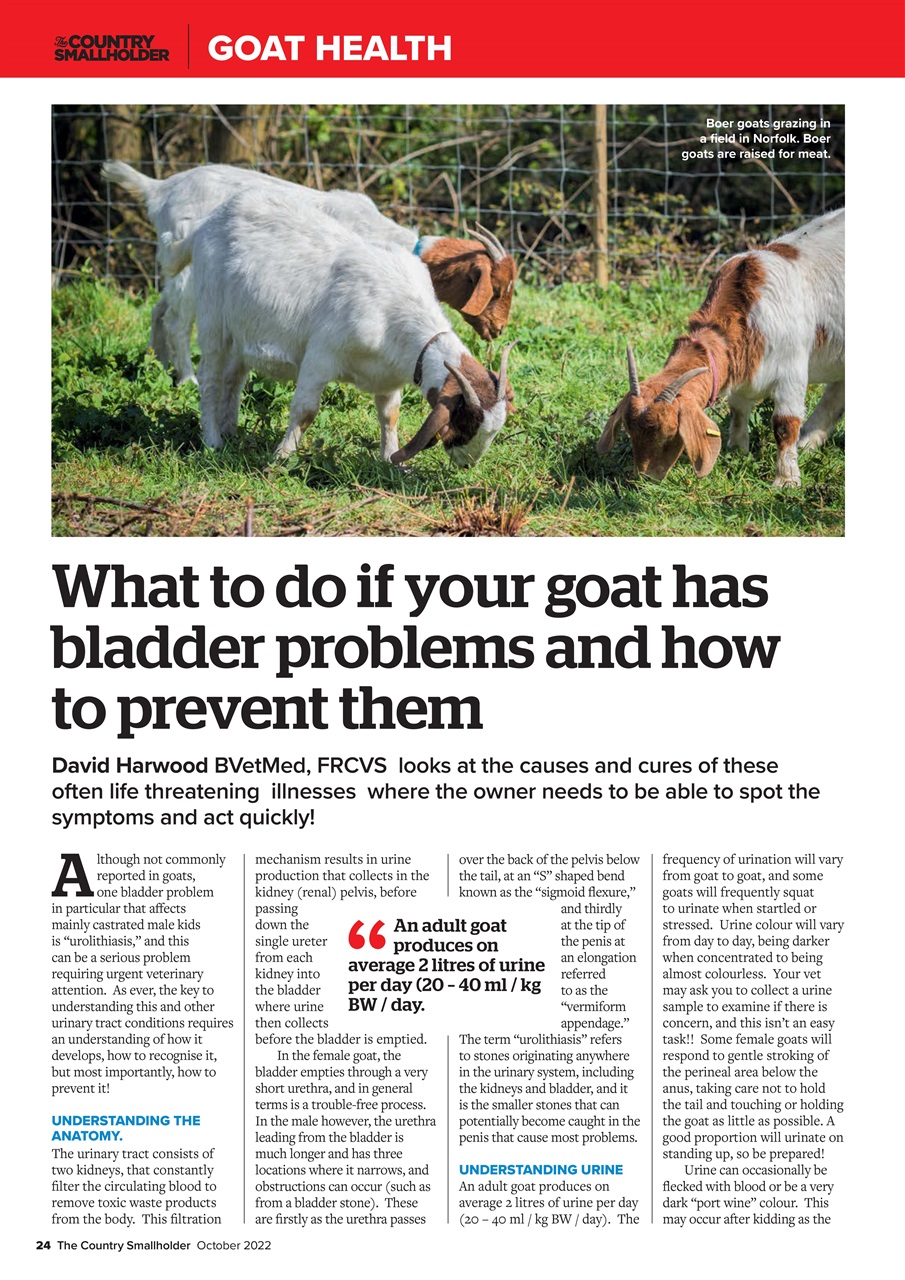 The Country Smallholder Preview Pages