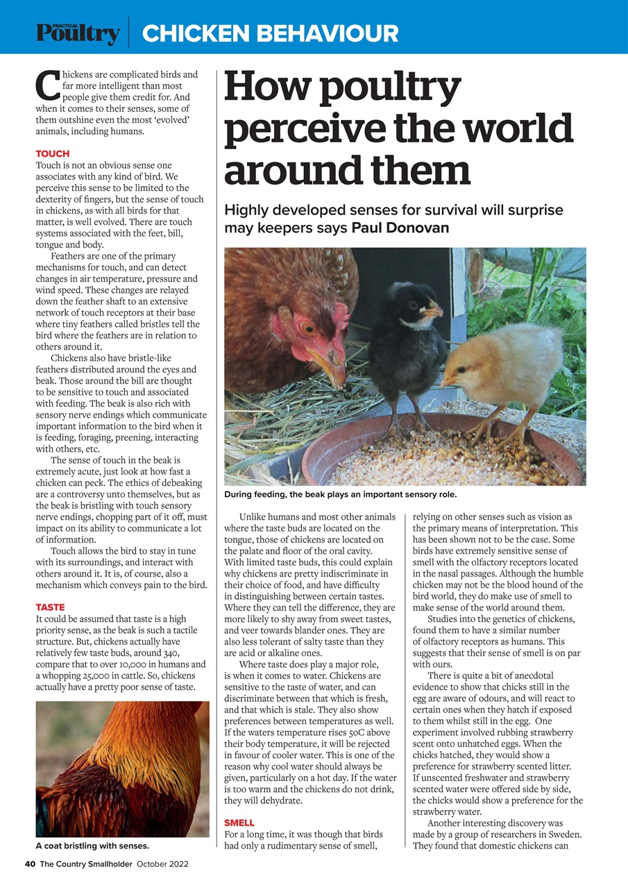 The Country Smallholder Preview Pages