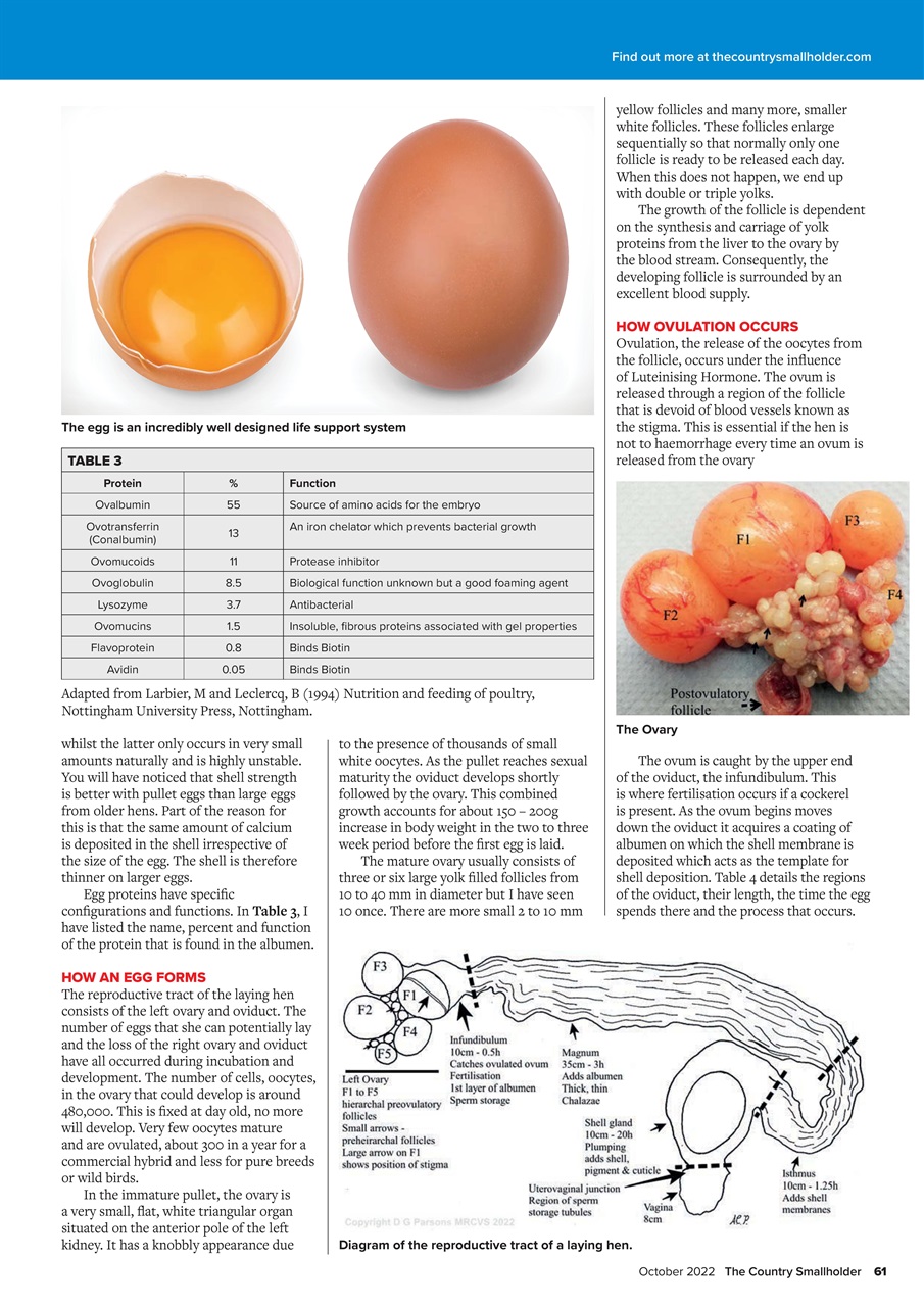 The Country Smallholder Preview Pages