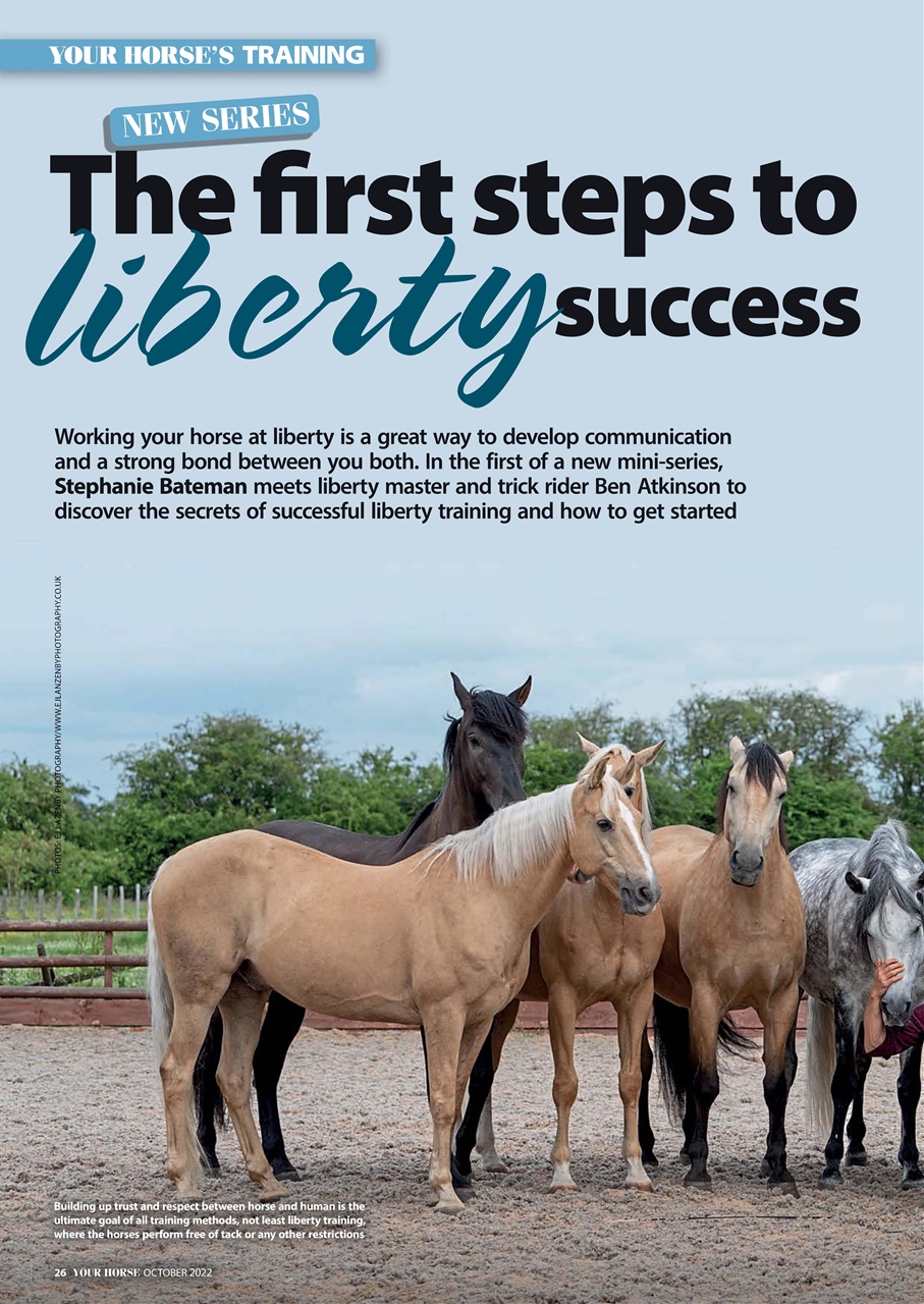 Your Horse Preview Pages