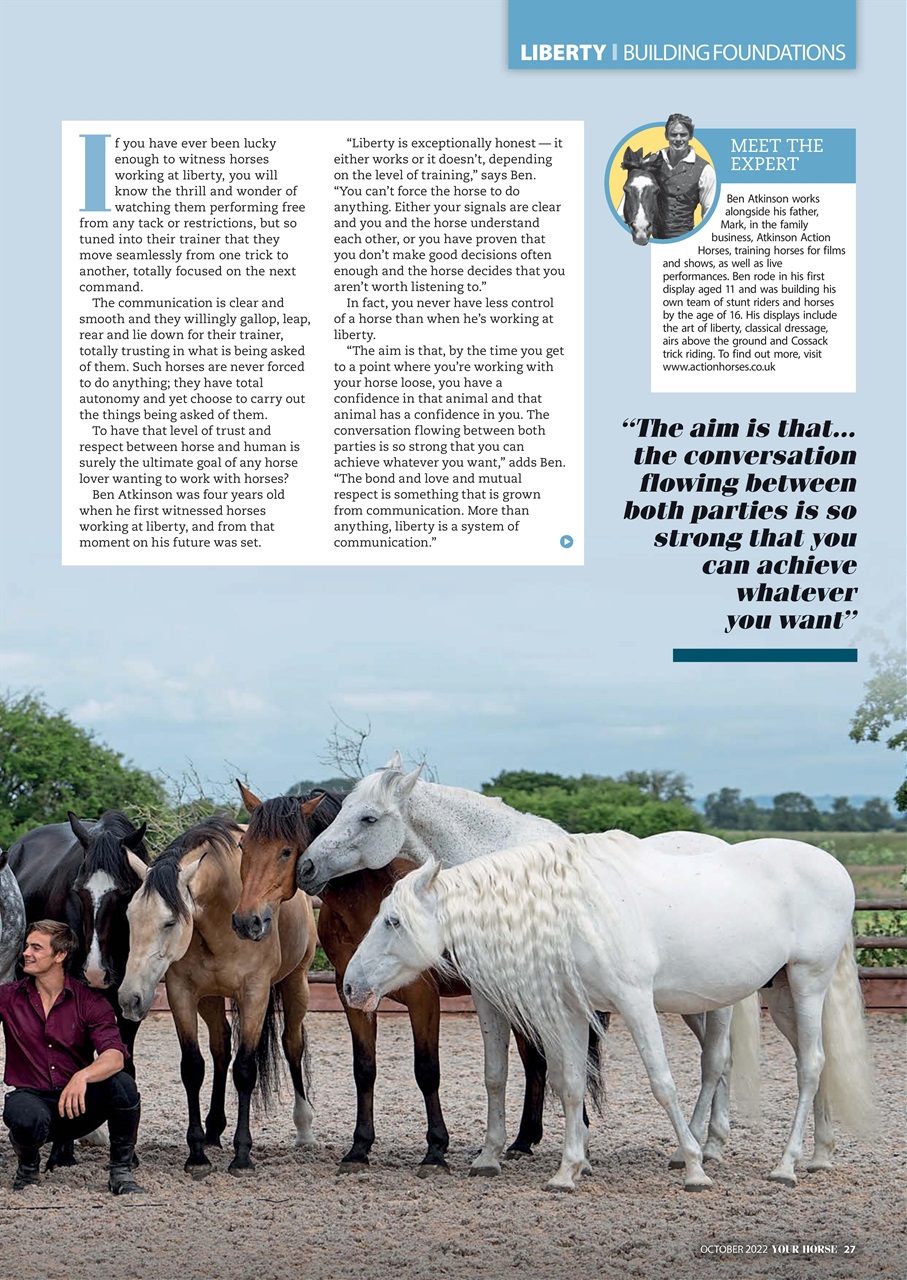 Your Horse Preview Pages