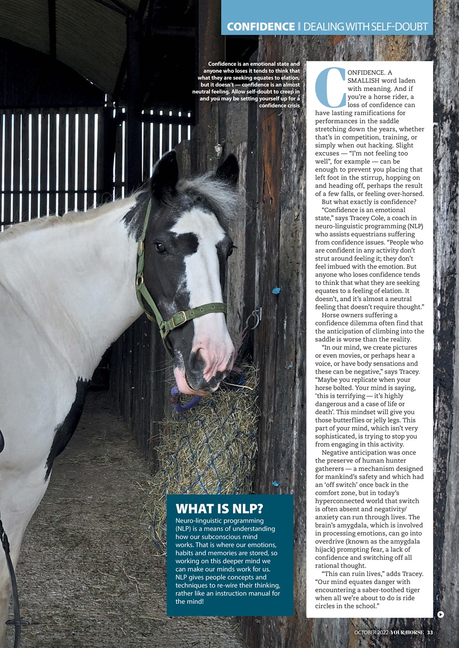 Your Horse Preview Pages