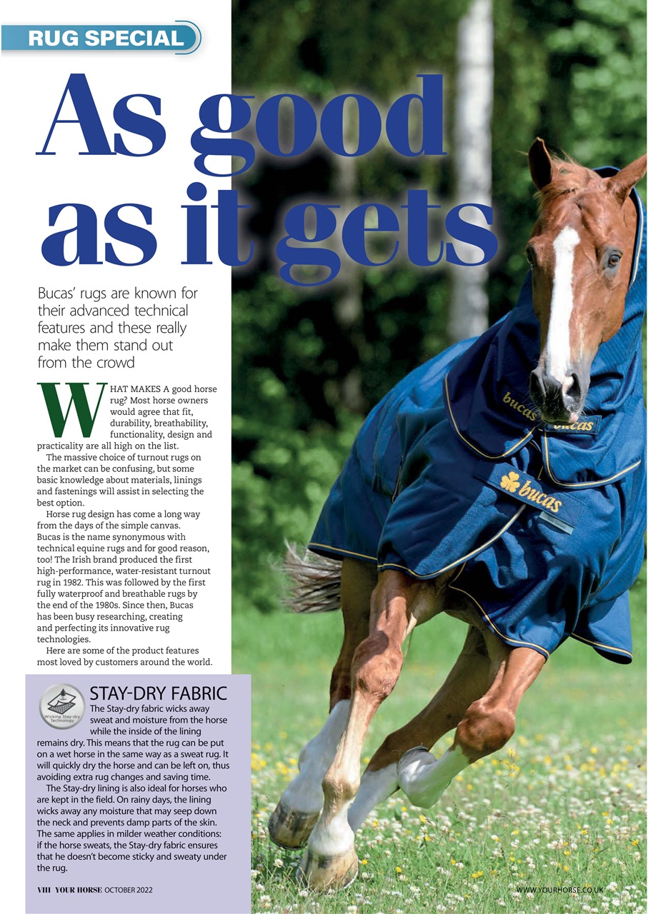 Your Horse Preview Pages