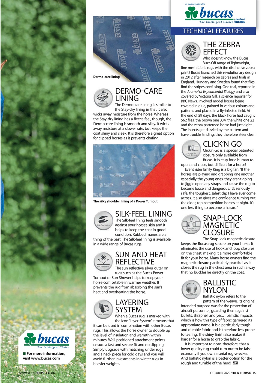 Your Horse Preview Pages