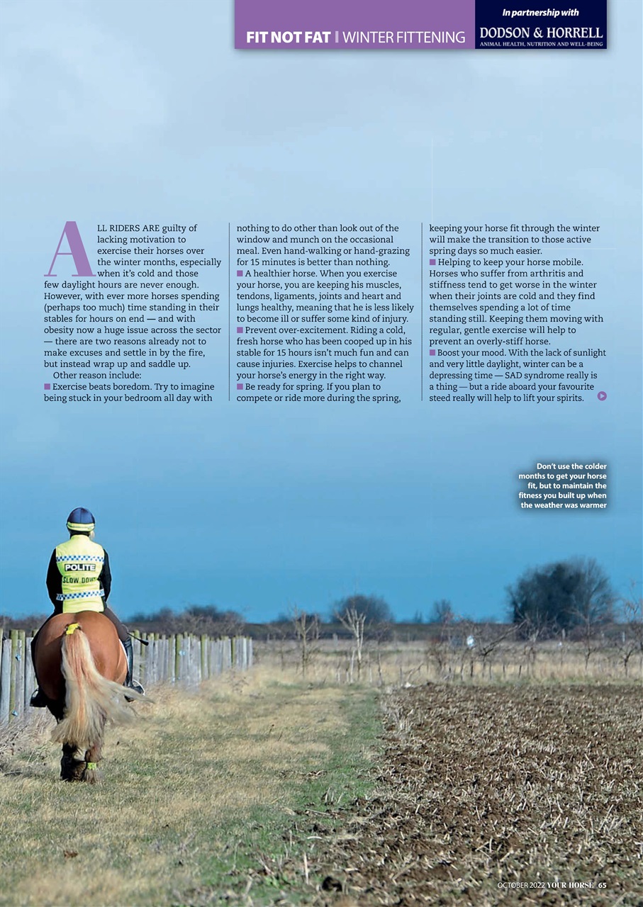 Your Horse Preview Pages