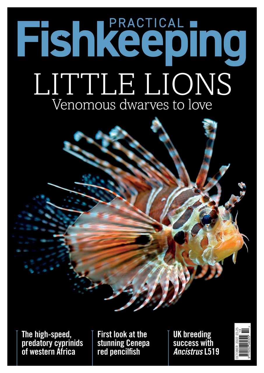 Practical Fishkeeping Preview Pages