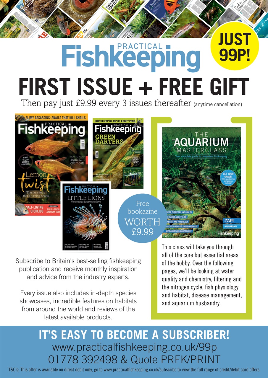 Practical Fishkeeping Preview Pages