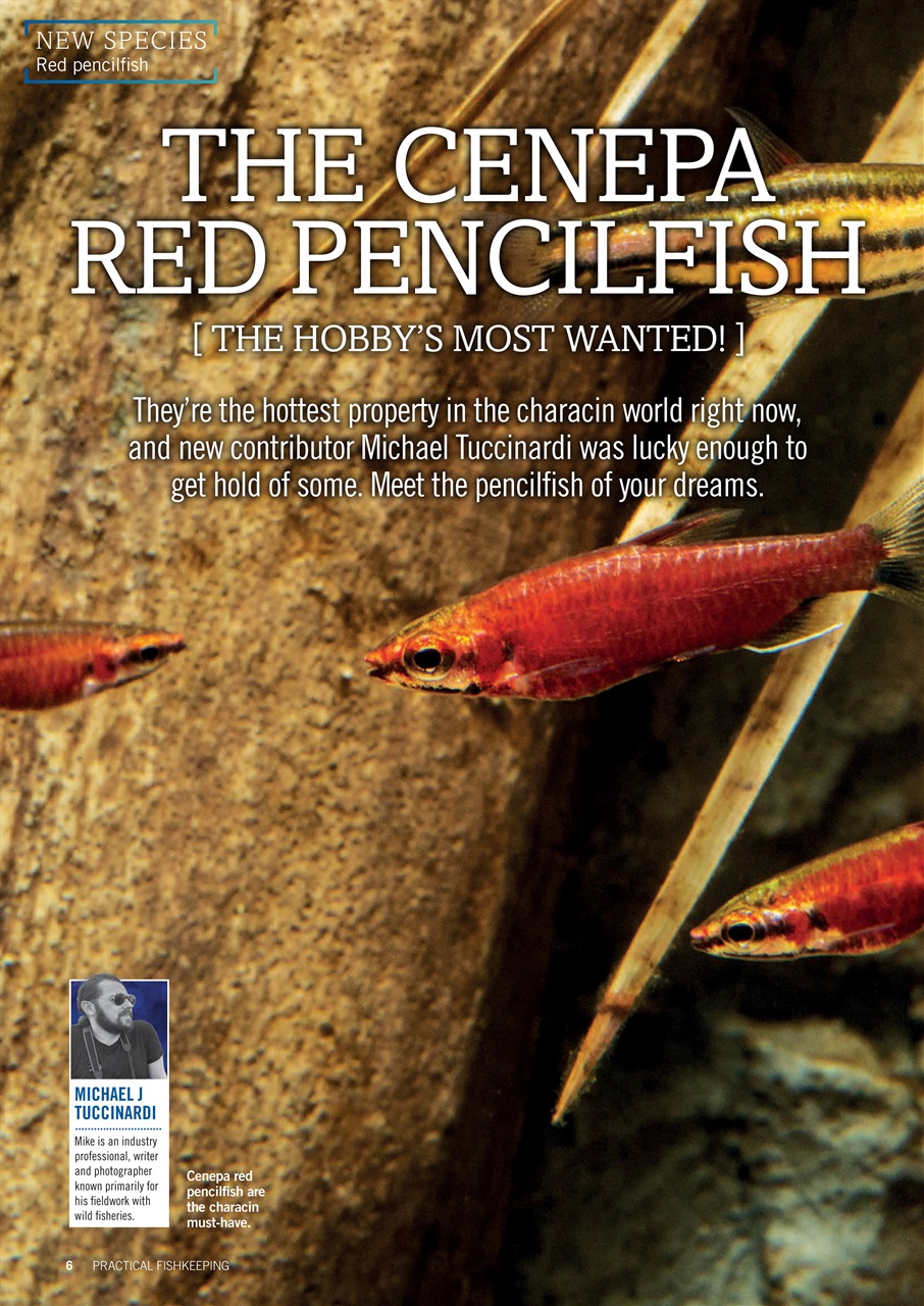 Practical Fishkeeping Preview Pages