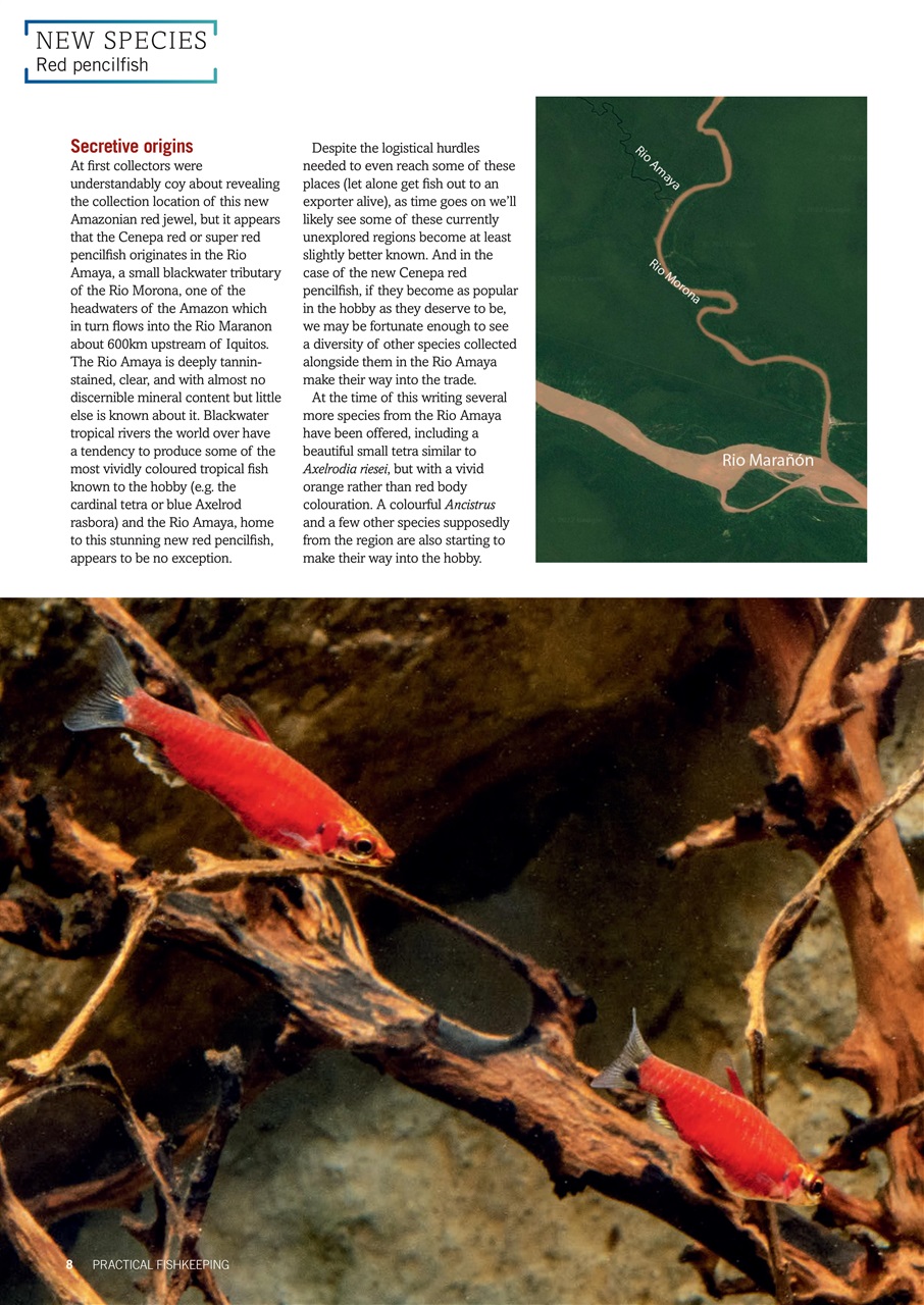 Practical Fishkeeping Preview Pages