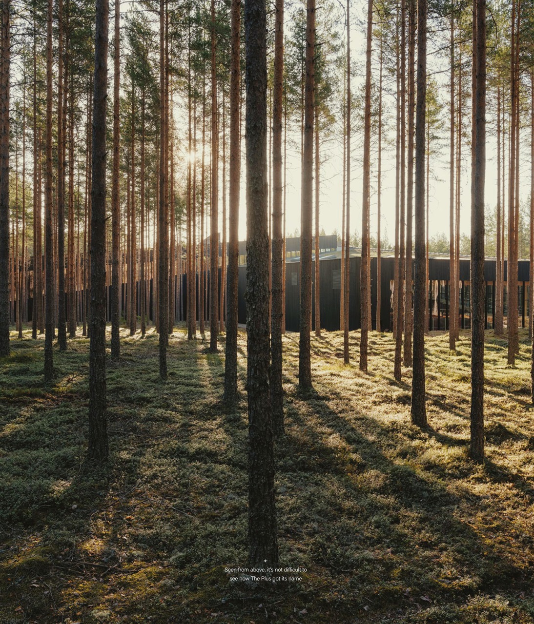 OnOffice Preview Pages