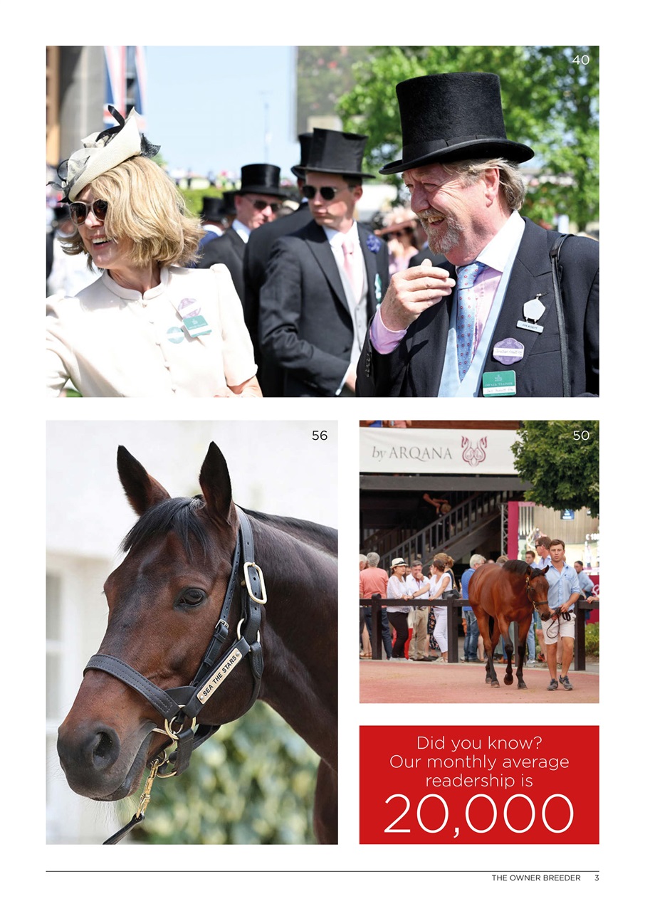 The Owner Breeder Preview Pages