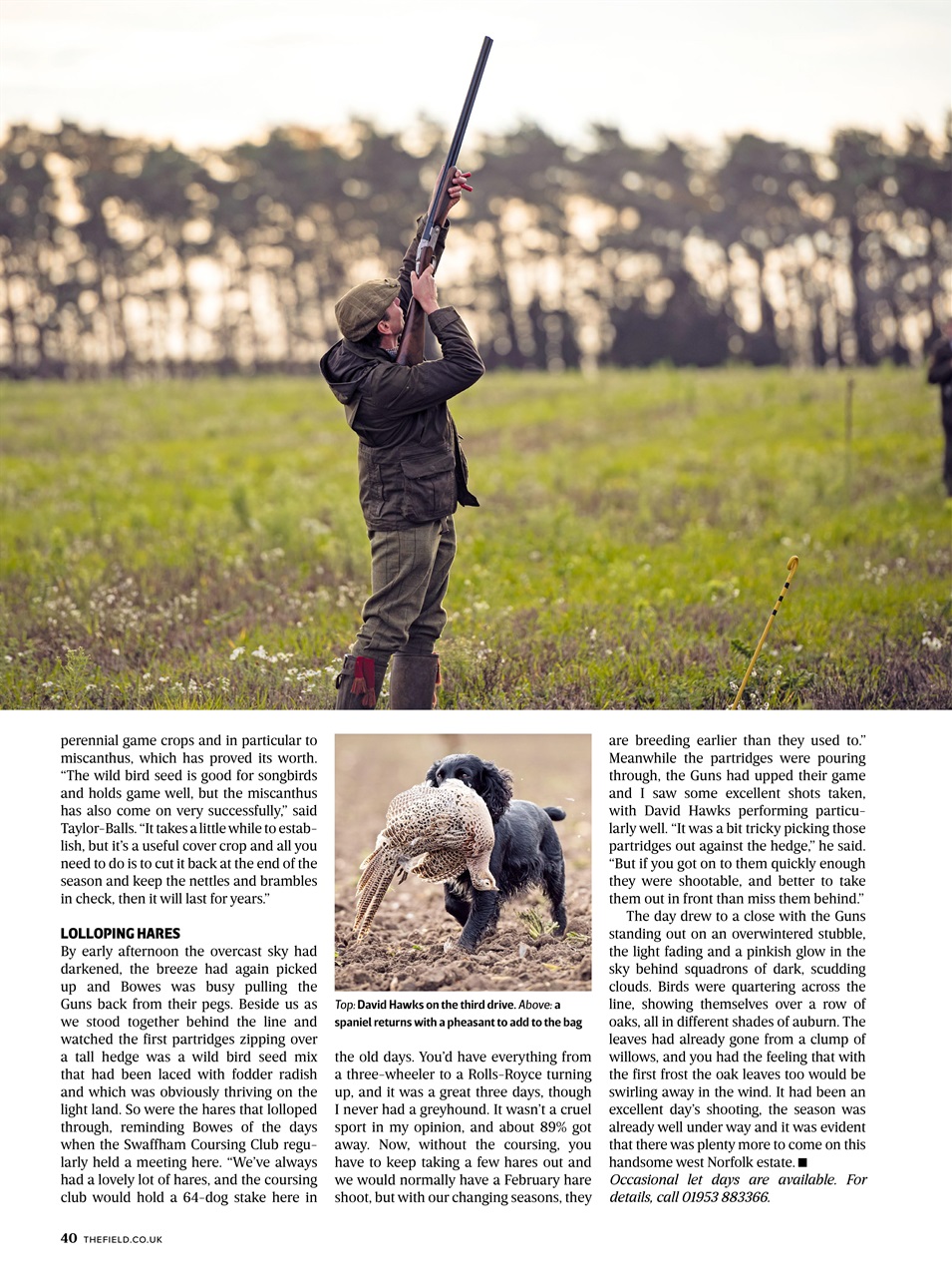 The Field Preview Pages