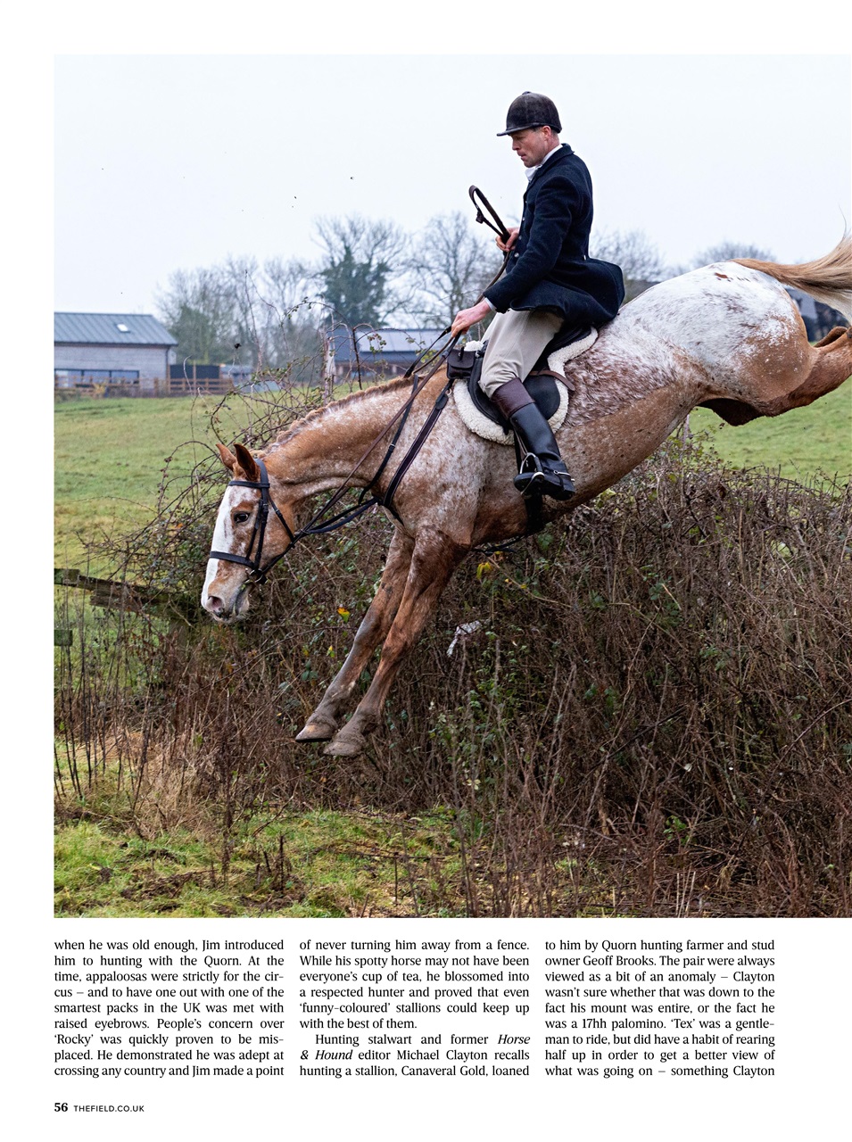 The Field Preview Pages